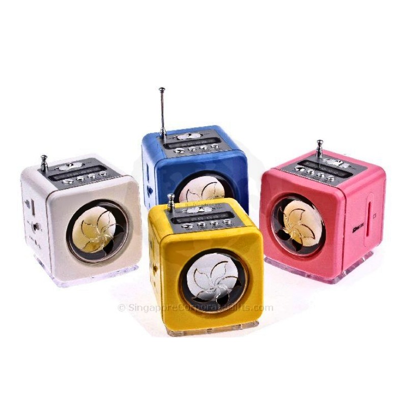 Mini MP3 Speaker with Radio