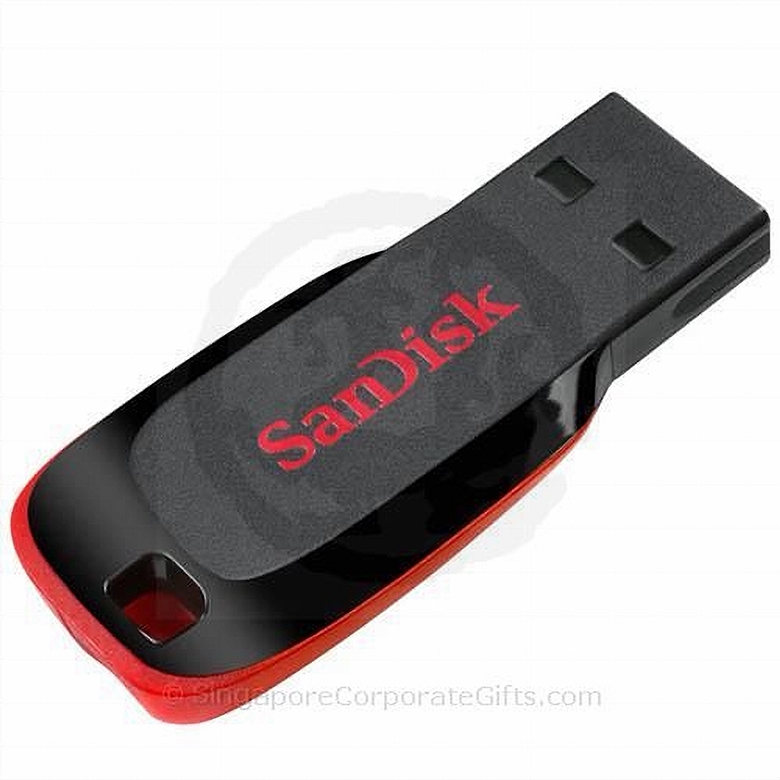 SanDisk Thumbdrive