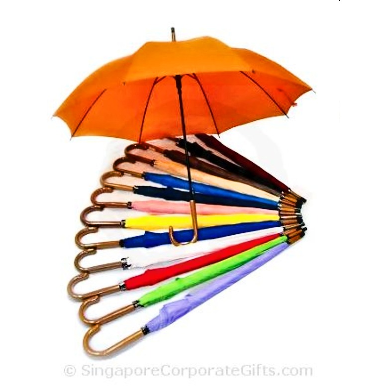 Umbrella with wood-like handle (24")