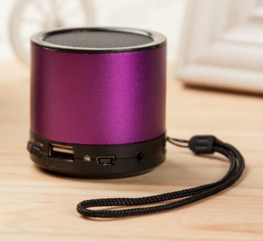 Speaker with radio (X2)